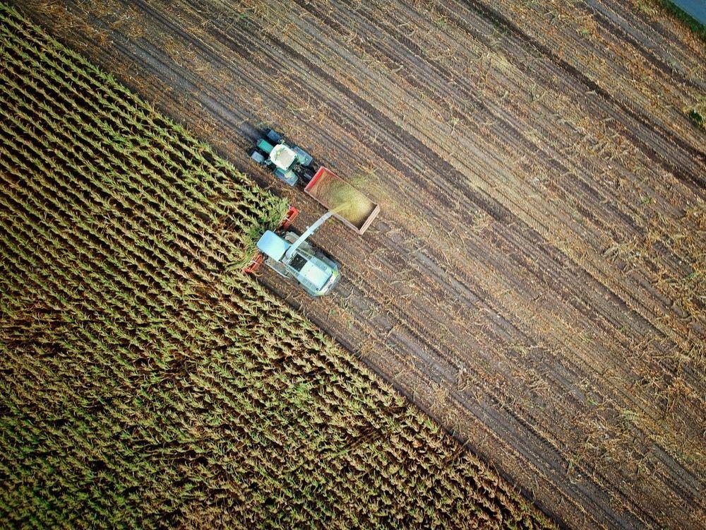 Políticas públicas para el desarrollo de una economía basada en el agro