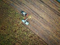 Políticas públicas para el desarrollo de una economía basada en el agro